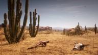 RedDead2 GameplayVideo Landscape Desert Cactus Iguana Skull