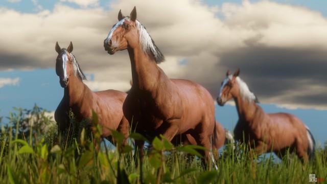 Wildlife in Red Dead Redemption 2: Details on Animals, Hunting & Fishing, Screenshots & Artworks!