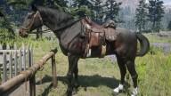 RDR2 Horses Thoroughbred SealBrownThoroughbred