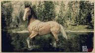 Rd r2 horses american standardbred silver tail buckskin american standardbred 2 3124 360