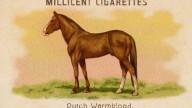 RDR2 CigaretteCards Horses DutchWarmblood