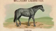 RDR2 CigaretteCards Horses NokotaHorse