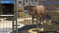 GTA5 Animals Cow 1 DirectorMode