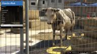 GTA5 Animals Cow 4 DirectorMode