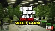 GTA Online Weed Farm: Setup, Location, Upgrades & Payout