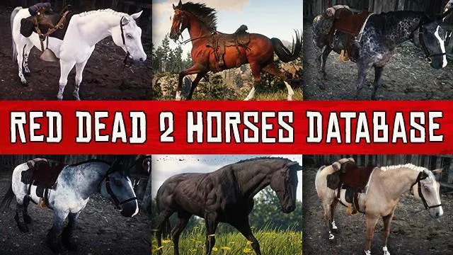 Red Dead Redemption 2 Horses Database: All Horses Statistics, Prices & Locations