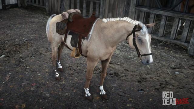 Morgan Horse | RDR2 Horse Breeds Coats, Locations & Stats