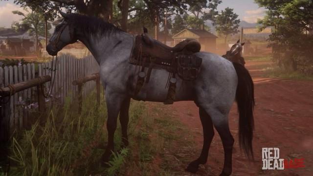 Grey Kentucky Saddler | RDR2 & Online Horse Stats & Locations