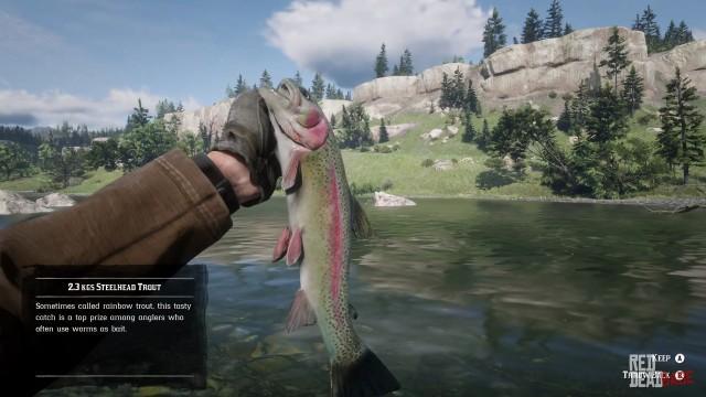 Steelhead Trout - Red Dead Redemption 2 Animals Species ...