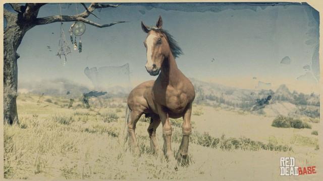 Blond Chestnut Belgian Horse | RDR2 & Online Horse Stats & Locations