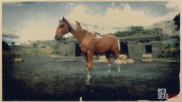 Chestnut Pinto Kentucky Saddler | RDR2 & Online Horse Stats & Locations