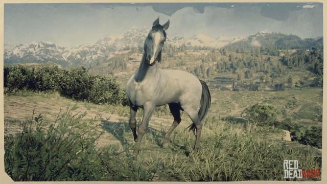 Grey Kentucky Saddler | RDR2 & Online Horse Stats & Locations