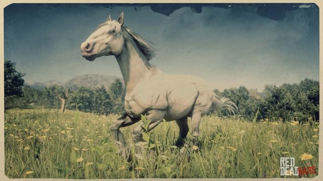 Light Grey Shire Horse | RDR2 & Online Horse Stats & Locations