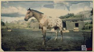 Buckskin Mustang Rdr2 Red Dead Online Horses Database Stats Locations