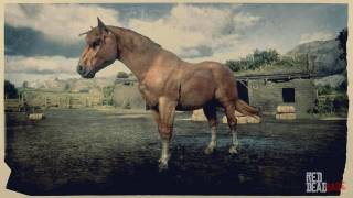 Red Dead Redemption 2 Horse Breed - Suffolk Punch Horse Red Dead Redemption 2 Horse Breed - Suffolk Punch Horse