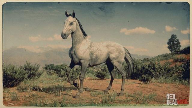 Dapple Grey Thoroughbred | RDR2 & Online Horse Stats & Locations