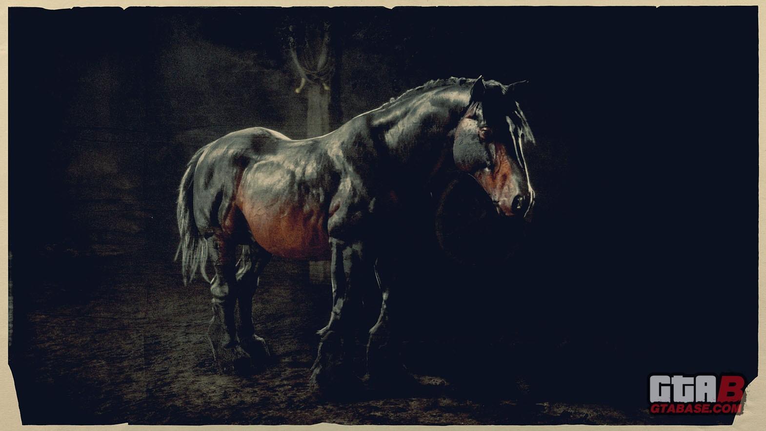 Бретонская лошадь rdr2