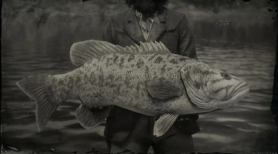 https://www.gtabase.com/images/jch-optimize/ng/images_red-dead-redemption-2_animals_smallmouth-bass-legendary.webp