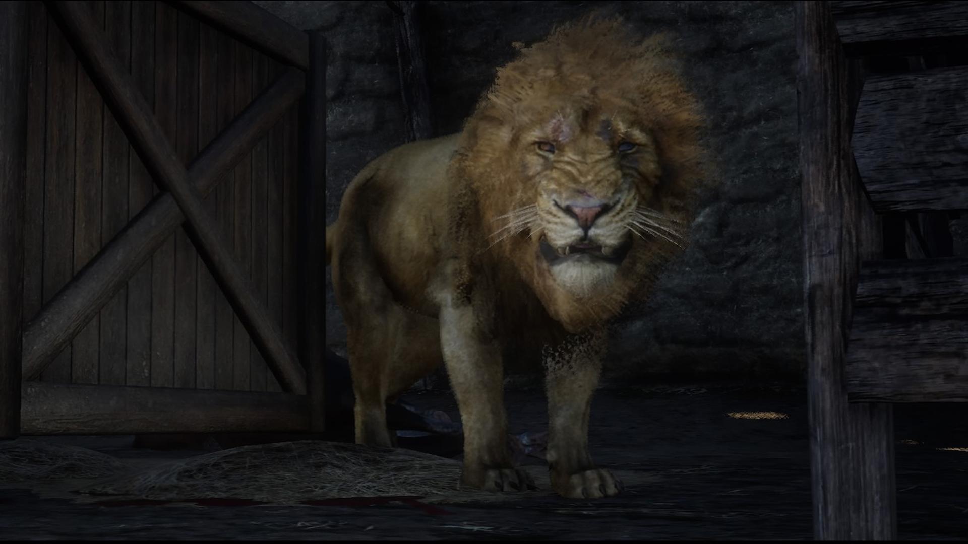 ligegyldighed Repaste kommando Lion | RDR2 Animals | Map Location & Where To Find