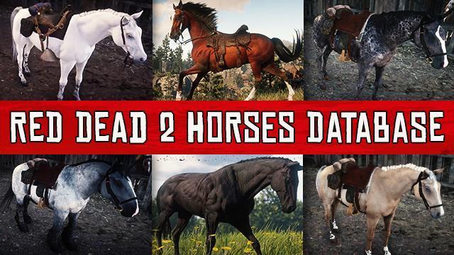 RDR2 & Online Horses Horse Stats, Prices,